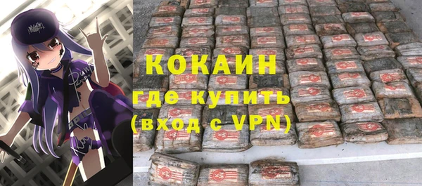 прущие грибы Абаза