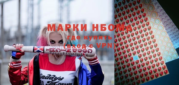 прущие грибы Абаза