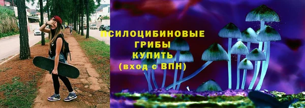 прущие грибы Абаза