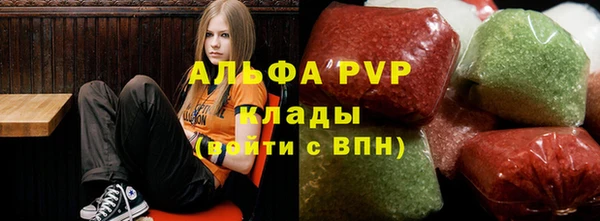 прущие грибы Абаза