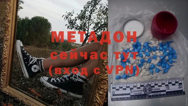 прущие грибы Абаза